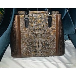 Brahmin Joan 'Fall Tortoise Cosimo